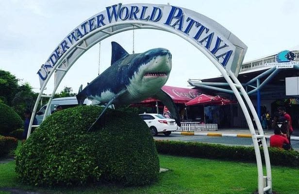 PATTAYA_ Join Tour Under Water World Pattaya